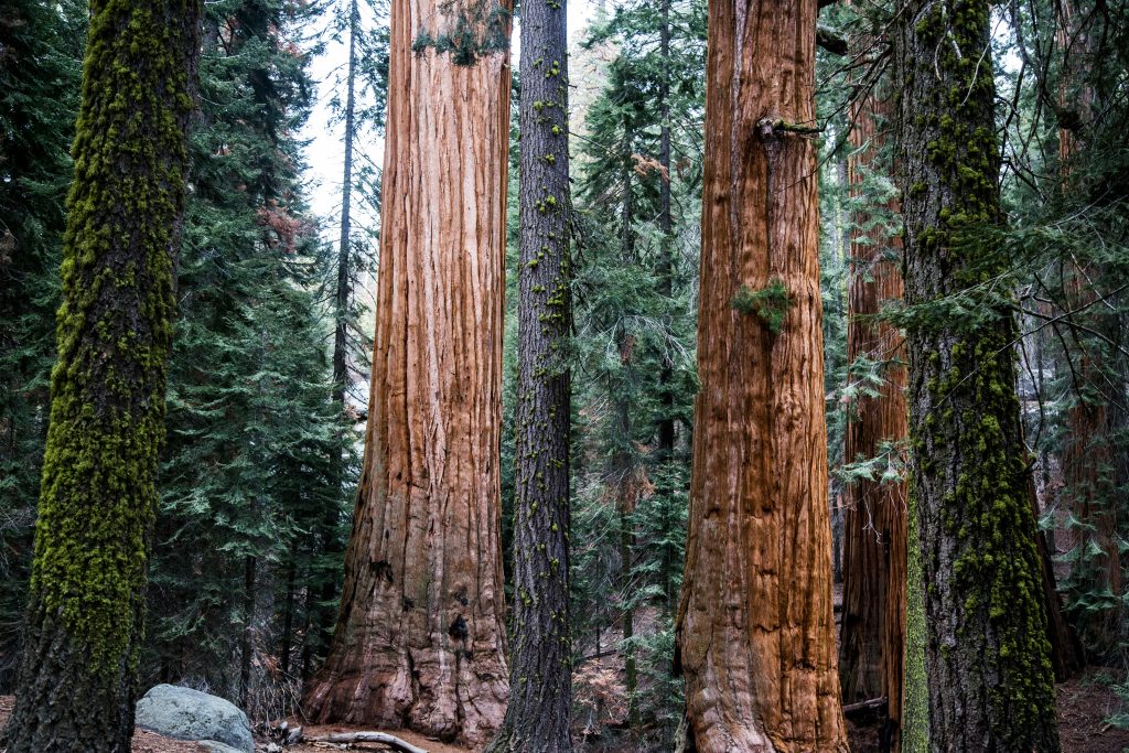 Josh Carter St8 Jklsti Unsplash