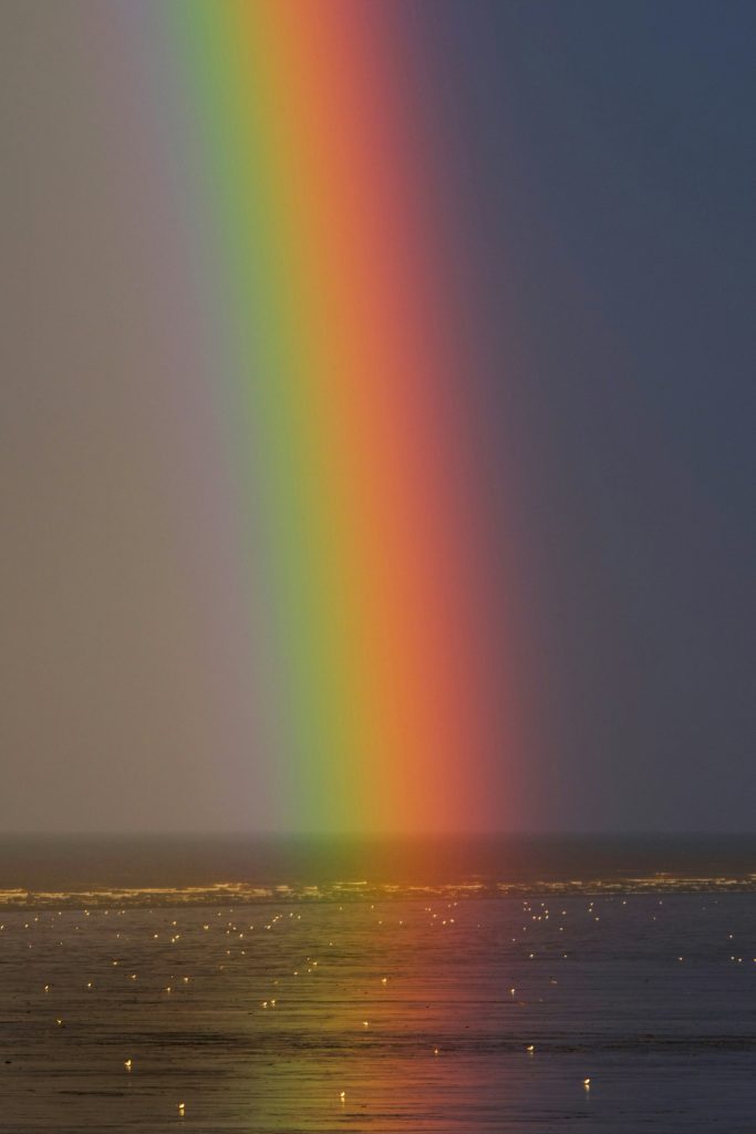 Zoltan Tasi P2Lk 0Bbvm0 Unsplash